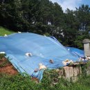 진주 조윤손 묘역 이미지