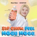 팔캐럿