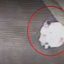 아장아장어린이집 이미지