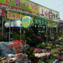 죽전화훼 이미지