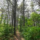 용담면행정복지센터 이미지