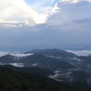 명상(야간) | 평창 용평리조트 2024 발왕산 축제 야간 명상 X 썸머포레스트 후기