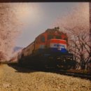 공설운동장 서편 이미지