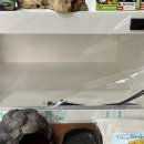 블랙 앤 화이트 샵 이미지