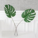 녹색플라워 이미지