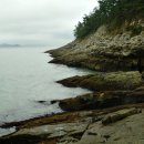 등대바다 이미지