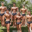 짐쉐이프 이미지