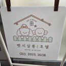 펫지살롱 이미지