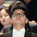 [속보] 한동훈, 내일 당대표 사퇴 기자회견 이미지