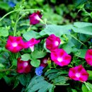 좋은만남 이미지