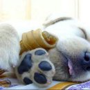 묘ː하다 이미지