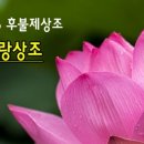 한사랑상조