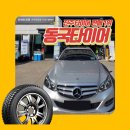 동국밧데리자동차 이미지