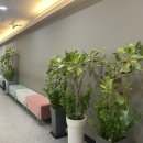 고메스퀘어 평택고덕점(센트리마2) 이미지