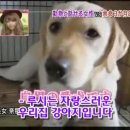 하이디 이미지