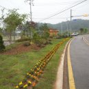 삼선농장 이미지