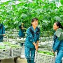 중평농장 이미지