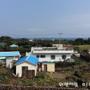 표선면-2 이미지