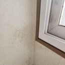 건우약품 이미지