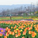 구리한강시민공원 이미지