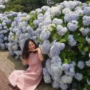 미화미용실 이미지