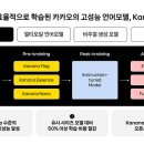 카카오일 이미지