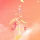 리플라워 이미지