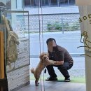 뭉치푸드 이미지