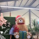 장자호수길 | [구리 카페 마루빈] 장자호수공원 근처 브런치·식물감성·심야카페, 내돈내산 후기☕🌿