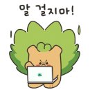 영화태권도체육관 이미지