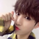 더팬