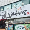 혜자농장 이미지