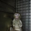 국립축산과학원 동물병원 이미지