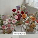 누벵