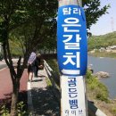 탐라은갈치 이미지