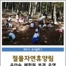 새자연어린이집 이미지