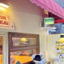 애견모델 | 서울 샤로수길 애견동반 카페 반려동물 출입 매장 콘파타테 후기