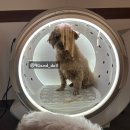 글램독 경주 B동 이미지