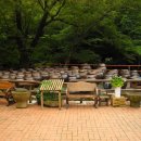 유선여관 이미지