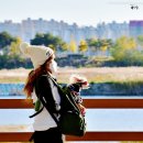 규섭농장 | 시집- 485&lt;사슴농장 후기&gt;