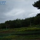 동해시-64 이미지