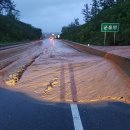 국도23호선가로수 이미지