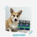 에이비씨(ABC)동물병원 | [쿠팡/추천] 에이비씨케어 반려동물 강아지 바이트 영양제