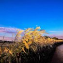 주남농장 이미지