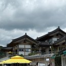 바실라 | 경주 해바라기 카페 바실라 후기🌻