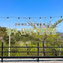 [경주] 산바다 캠핑장의 벚꽃 뷰 및 모든 사이트 후기