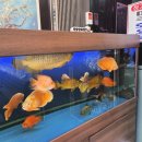 6672 | 대구 죽전역 밥집 추천, 이진수 어물전 본점 생선구이 정식 제대로 즐기고 온 후기