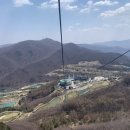 하이원 팰리스호텔 이미지