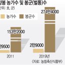 한반도서 벌꿀 사라지나… 기후 변화의 나비효과 [이슈&탐사] 이미지