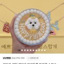 냥냥쩝쩝 이미지